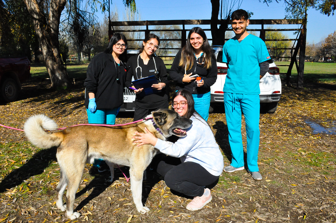 30.05.2025 operativo bienestar animal Chancon 1