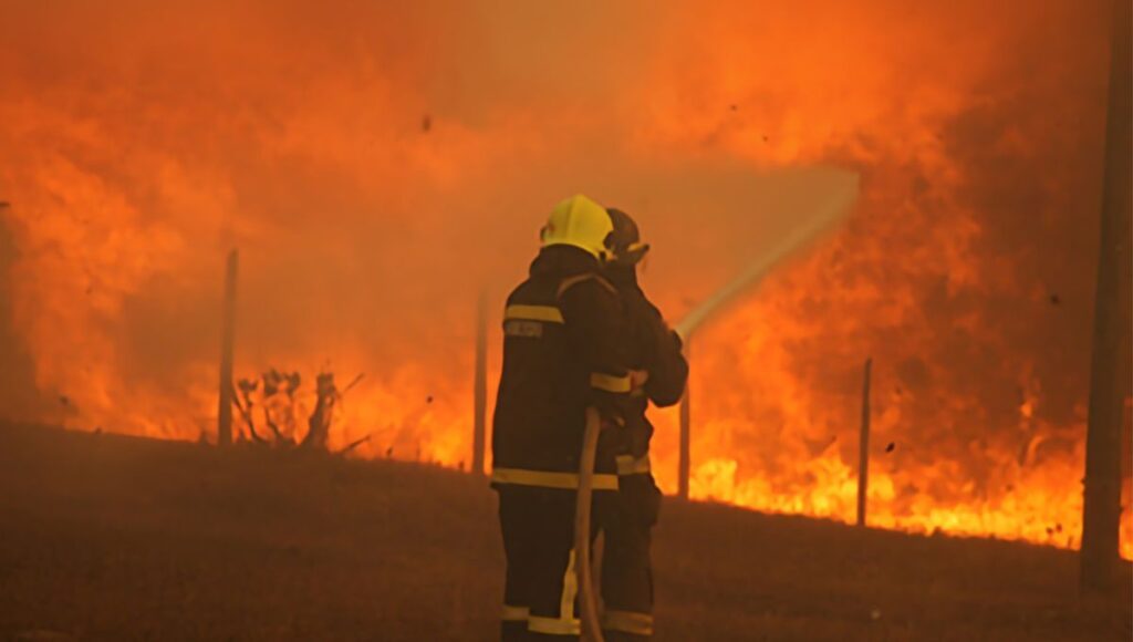 Region-de-OHiggins-despliega-masiva-cruzada-solidaria-para-apoyar-a-zonas-afectadas-por-incendios-forestales-1024x580 (1)