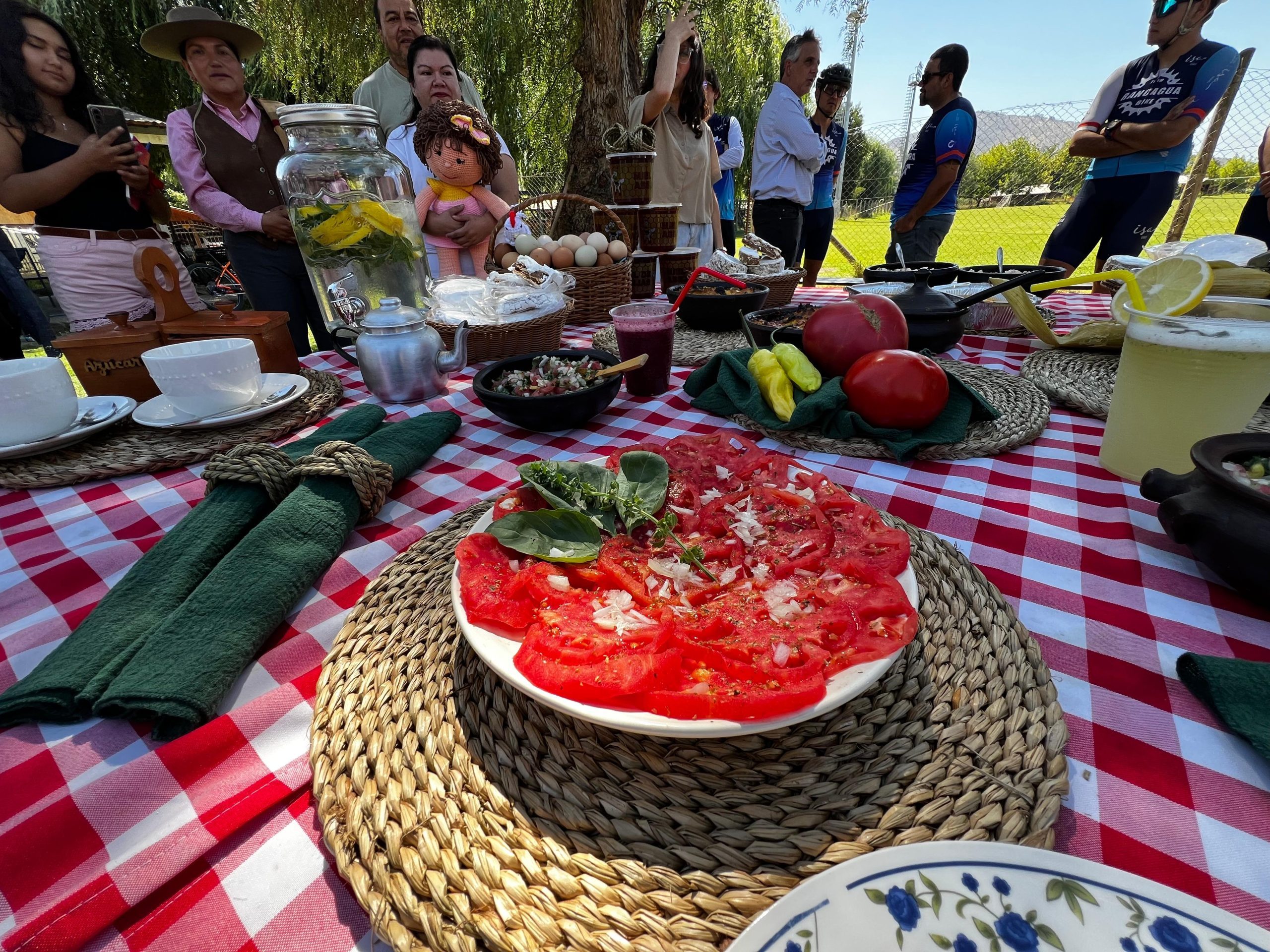 WhatsApp Image 2026-01-29 at 16.42.20