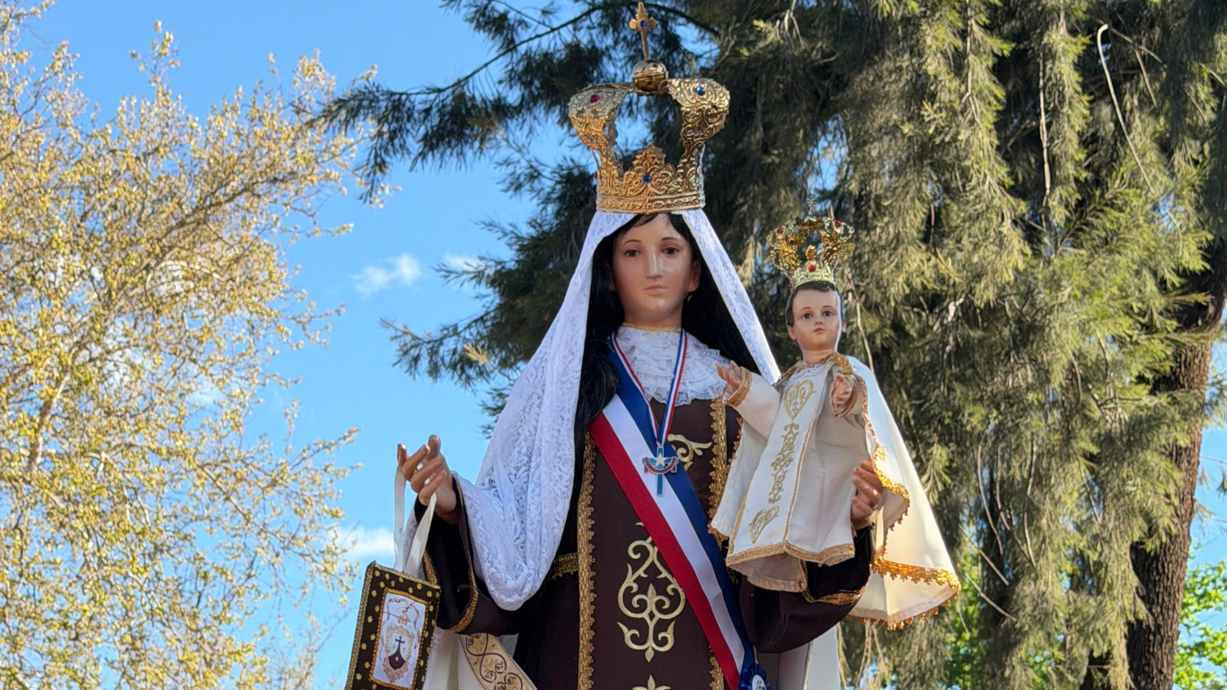 virgen del carmen
